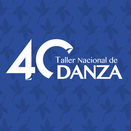 Curso TND Ballet Clásico niños y niñas con conocimiento